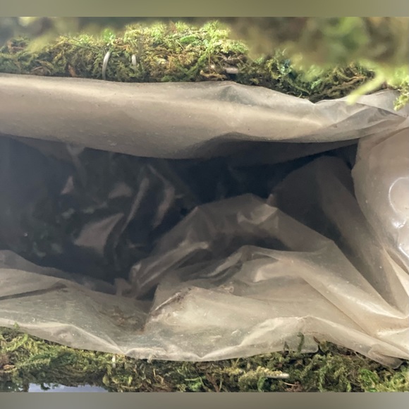 Home accent - Picture 13 of 14